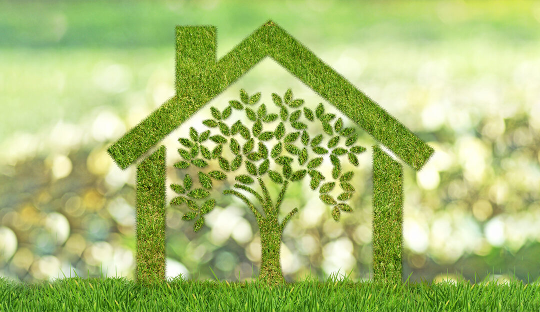 Green mortgages – the ‘what’ and ‘why’ of the greener option.